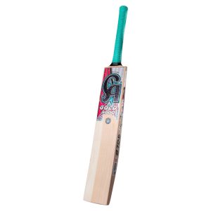 CA Gold 3000 Cricket Bat