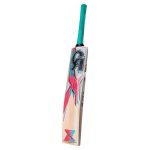 CA Gold 3000 Cricket Bat