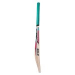 CA Gold 3000 Cricket Bat