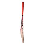 CA Gold 5000 Cricket Bat