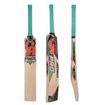 CA Pro 4000 Cricket Bat