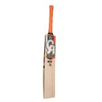 CA Pro 5K Cricket Bat